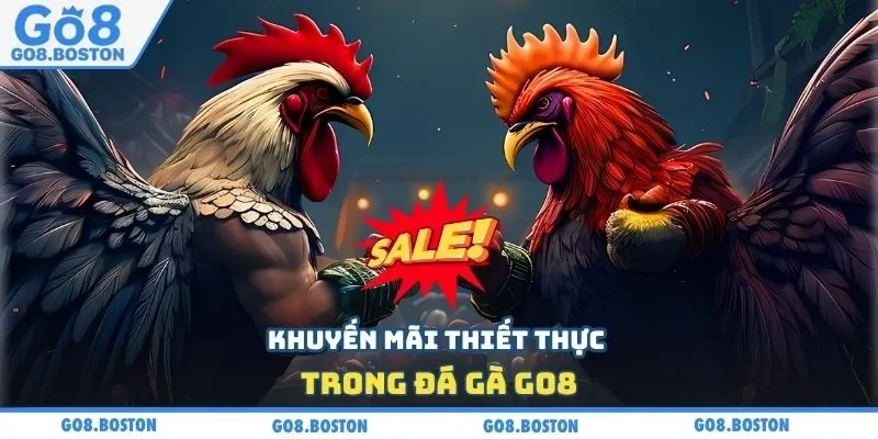 Khuyến mãi thiết thực trong đá gà GO8