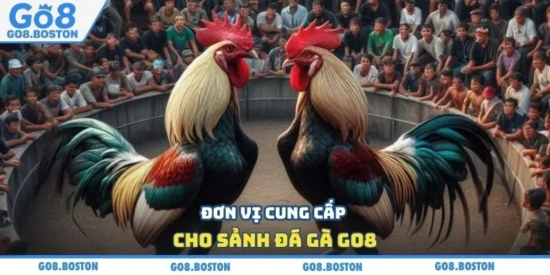 Đơn vị cung cấp cho sảnh đá gà GO8