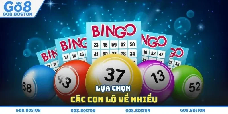 Lựa chọn các con lô về nhiều