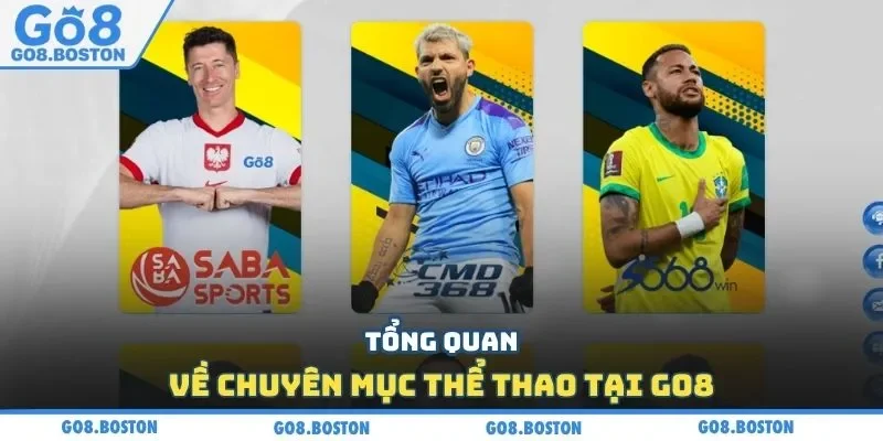 Tổng quan về chuyên mục thể thao tại GO8